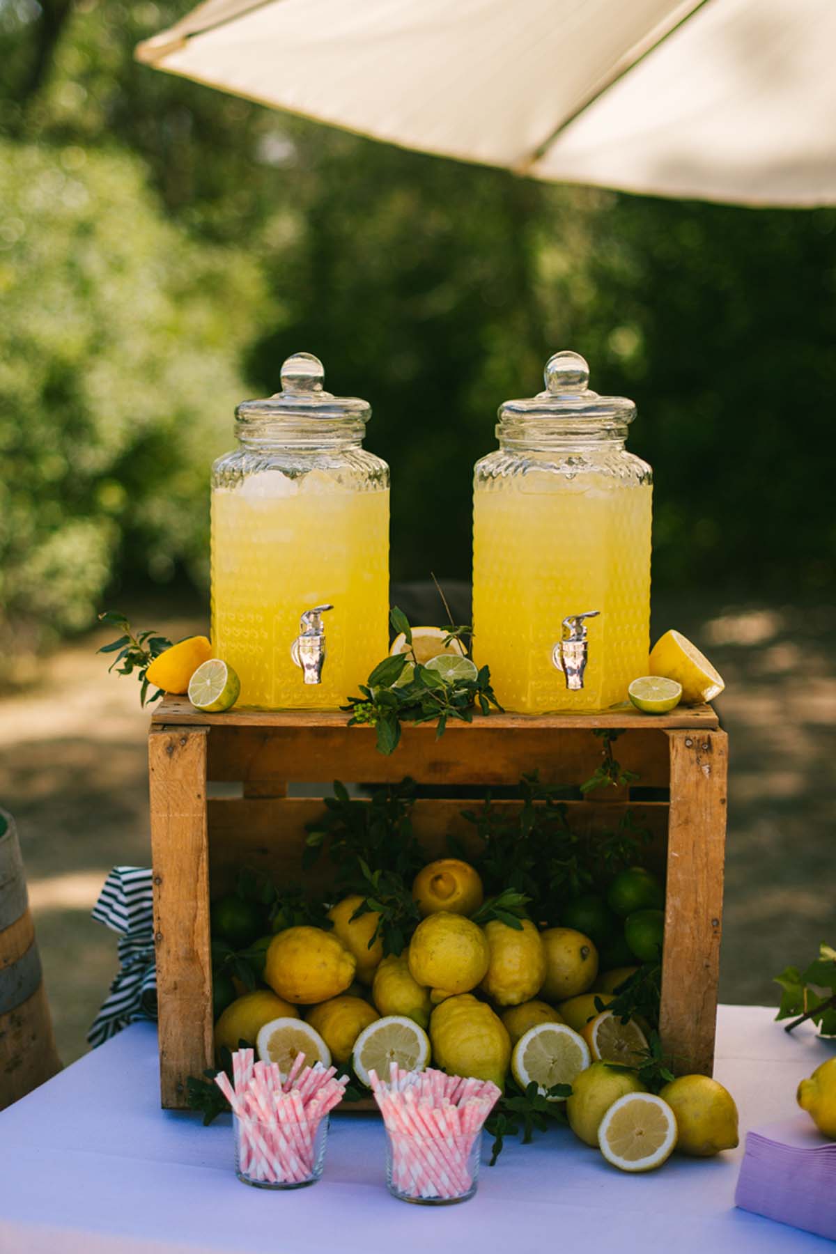 mesa limonada boda las margas decoración_